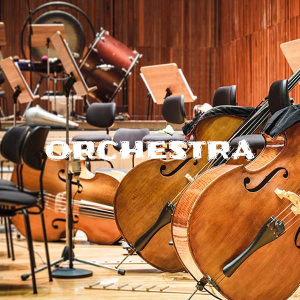 orchestra